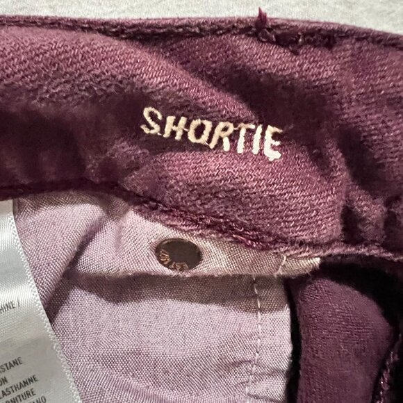 American Eagle Women's Burgundy Distressed Short Shortie Shorts size 14 - Picture 7 of 9